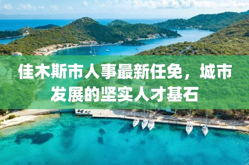 佳木斯市人事最新任免，城市發(fā)展的堅(jiān)實(shí)人才基石