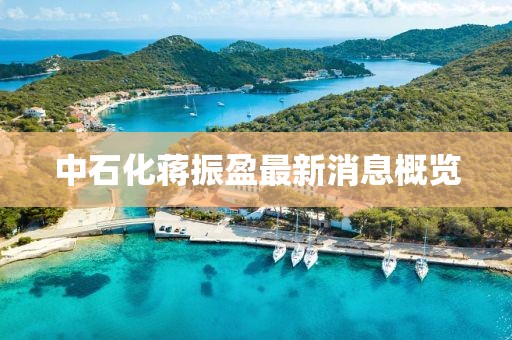 中石化蔣振盈最新消息概覽
