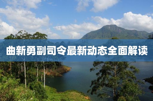 曲新勇副司令最新動(dòng)態(tài)全面解讀
