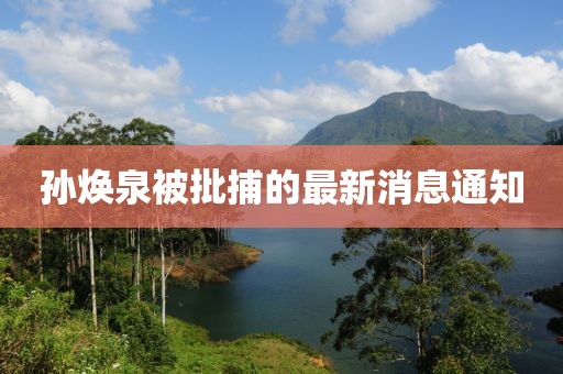 孫煥泉被批捕的最新消息通知