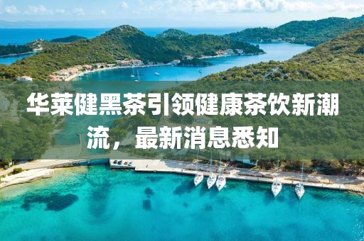 華萊健黑茶引領(lǐng)健康茶飲新潮流，最新消息悉知