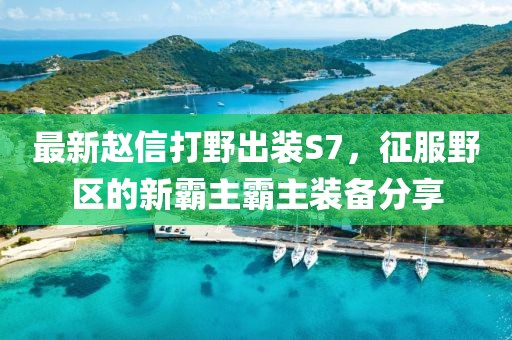 最新趙信打野出裝S7，征服野區(qū)的新霸主霸主裝備分享
