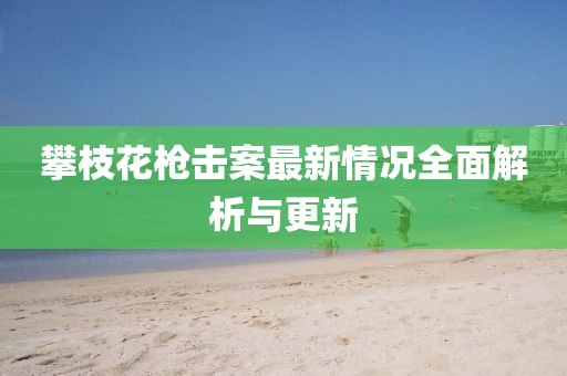 攀枝花槍擊案最新情況全面解析與更新