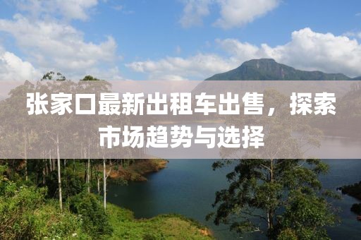 張家口最新出租車(chē)出售，探索市場(chǎng)趨勢(shì)與選擇