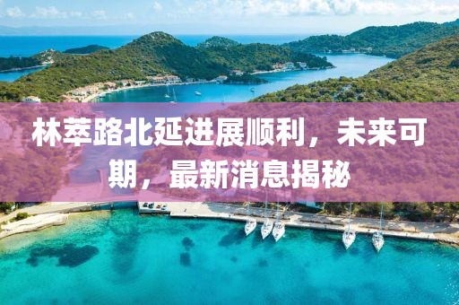 林萃路北延進(jìn)展順利，未來(lái)可期，最新消息揭秘