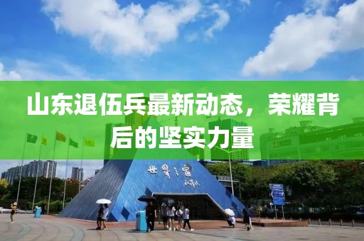 山東退伍兵最新動態(tài)，榮耀背后的堅實力量