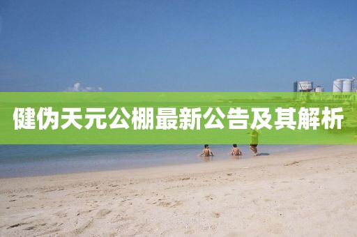 健偽天元公棚最新公告及其解析