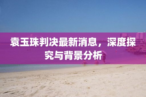 袁玉珠判決最新消息，深度探究與背景分析
