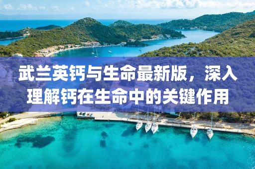 武蘭英鈣與生命最新版，深入理解鈣在生命中的關(guān)鍵作用