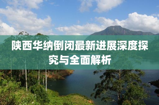 陜西華納倒閉最新進展深度探究與全面解析