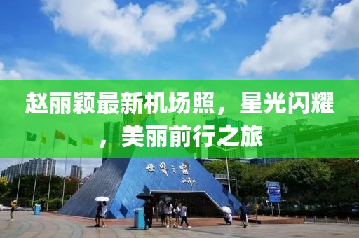 趙麗穎最新機(jī)場(chǎng)照，星光閃耀，美麗前行之旅