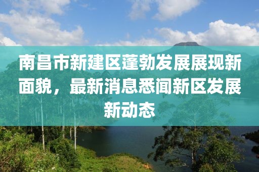南昌市新建區(qū)蓬勃發(fā)展展現(xiàn)新面貌，最新消息悉聞新區(qū)發(fā)展新動(dòng)態(tài)