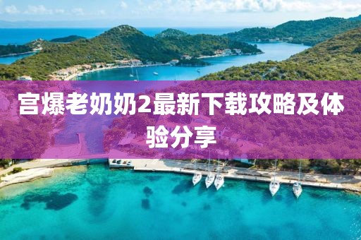 宮爆老奶奶2最新下載攻略及體驗分享