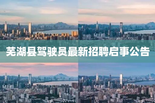 蕪湖縣駕駛員最新招聘啟事公告