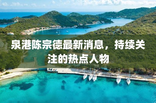 泉港陳宗德最新消息，持續(xù)關(guān)注的熱點(diǎn)人物