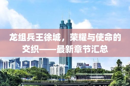 龍組兵王徐城，榮耀與使命的交織——最新章節(jié)匯總
