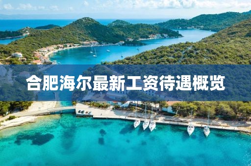 合肥海爾最新工資待遇概覽