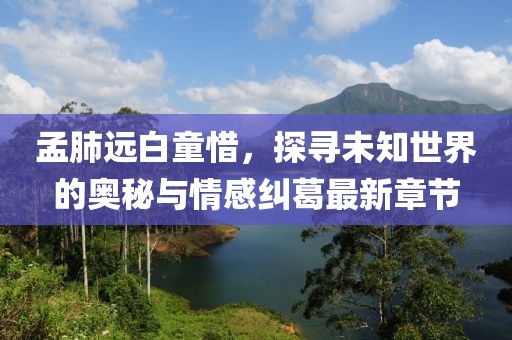 孟肺遠(yuǎn)白童惜，探尋未知世界的奧秘與情感糾葛最新章節(jié)