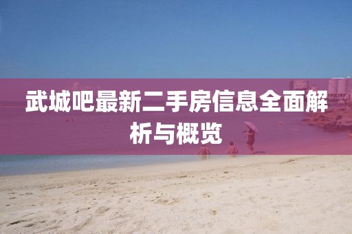 武城吧最新二手房信息全面解析與概覽