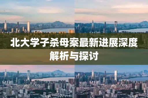北大學(xué)子殺母案最新進(jìn)展深度解析與探討