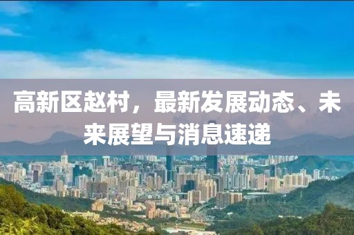 高新區(qū)趙村，最新發(fā)展動(dòng)態(tài)、未來展望與消息速遞