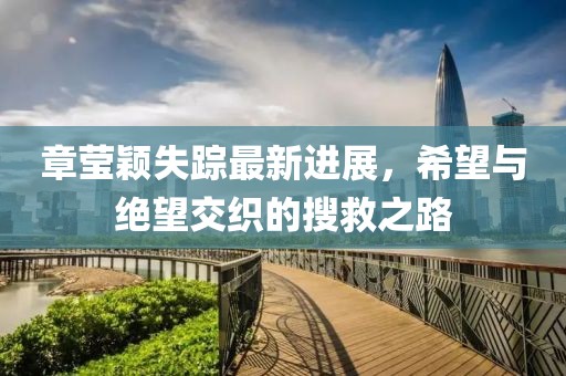 章瑩穎失蹤最新進展，希望與絕望交織的搜救之路