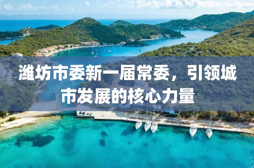 濰坊市委新一屆常委，引領(lǐng)城市發(fā)展的核心力量