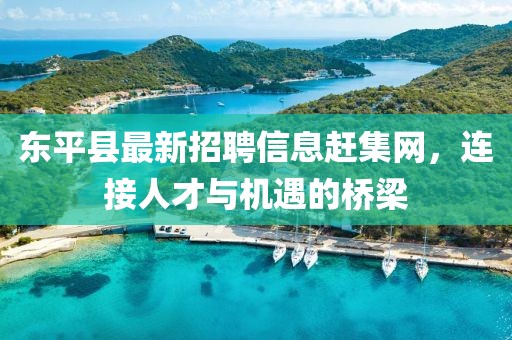 東平縣最新招聘信息趕集網(wǎng)，連接人才與機(jī)遇的橋梁
