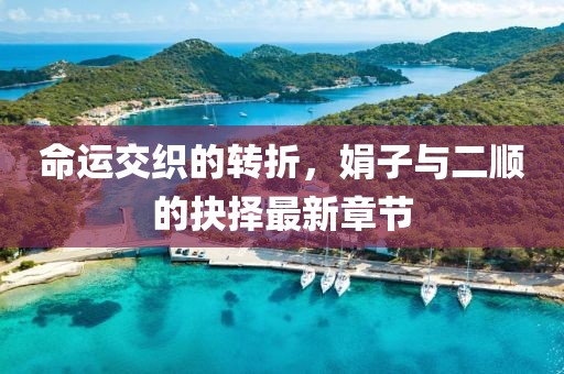 命運(yùn)交織的轉(zhuǎn)折，娟子與二順的抉擇最新章節(jié)