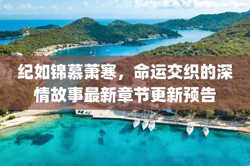 紀如錦慕蕭寒，命運交織的深情故事最新章節(jié)更新預(yù)告