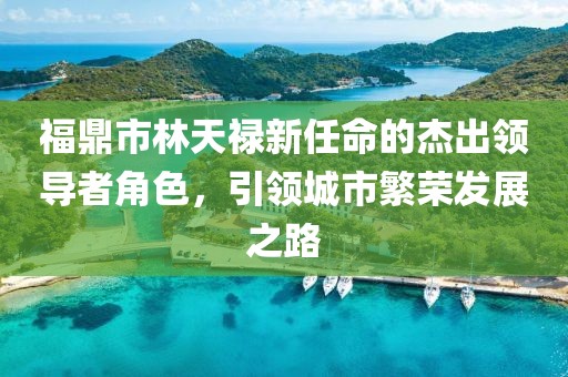 福鼎市林天祿新任命的杰出領(lǐng)導(dǎo)者角色，引領(lǐng)城市繁榮發(fā)展之路