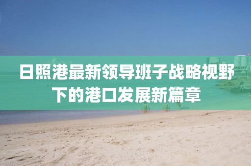 日照港最新領(lǐng)導(dǎo)班子戰(zhàn)略視野下的港口發(fā)展新篇章