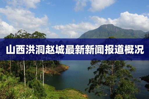 山西洪洞趙城最新新聞報道概況