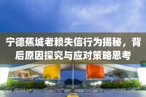 寧德蕉城老賴失信行為揭秘，背后原因探究與應(yīng)對(duì)策略思考