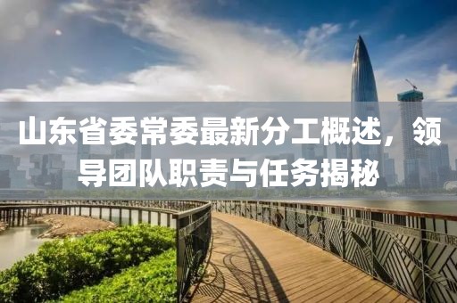 山東省委常委最新分工概述，領(lǐng)導(dǎo)團(tuán)隊(duì)職責(zé)與任務(wù)揭秘