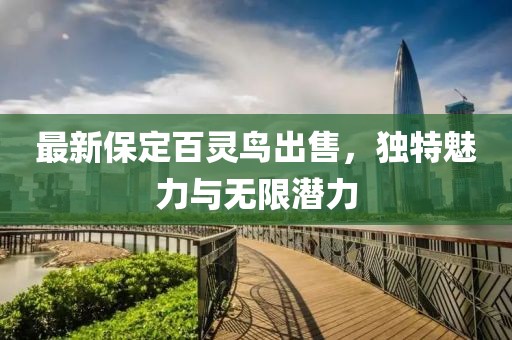 最新保定百靈鳥出售，獨特魅力與無限潛力