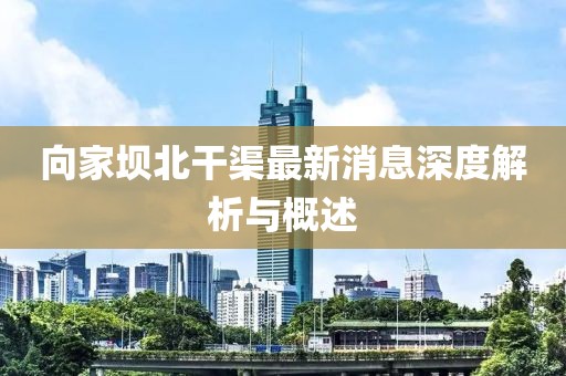 向家壩北干渠最新消息深度解析與概述