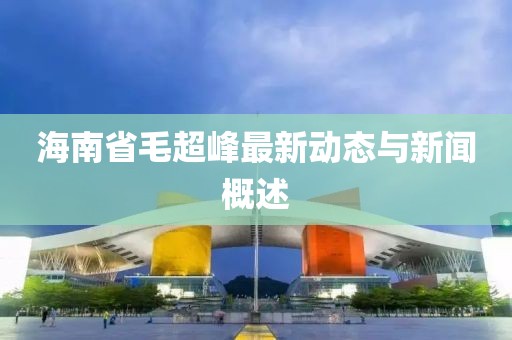 海南省毛超峰最新動(dòng)態(tài)與新聞概述