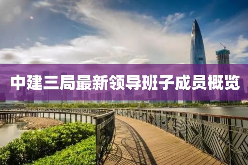 中建三局最新領(lǐng)導(dǎo)班子成員概覽