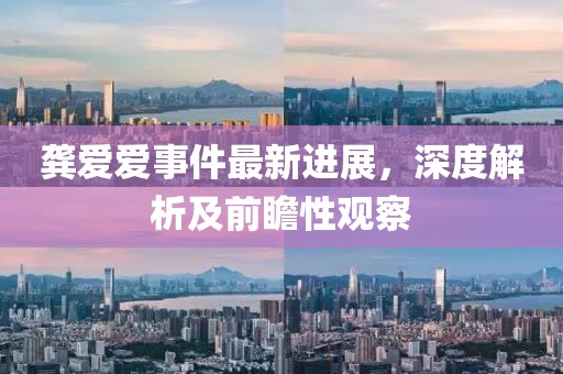 龔愛愛事件最新進展，深度解析及前瞻性觀察