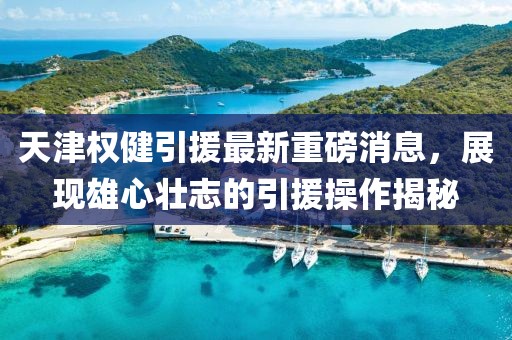 天津權健引援最新重磅消息，展現(xiàn)雄心壯志的引援操作揭秘