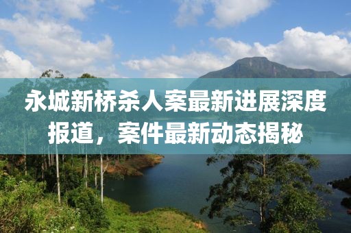 永城新橋殺人案最新進展深度報道，案件最新動態(tài)揭秘