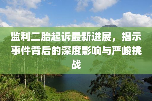 監(jiān)利二胎起訴最新進展，揭示事件背后的深度影響與嚴(yán)峻挑戰(zhàn)