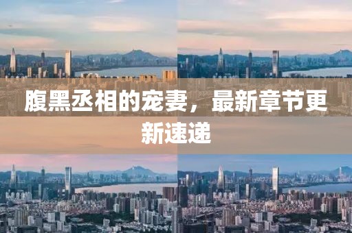 腹黑丞相的寵妻，最新章節(jié)更新速遞