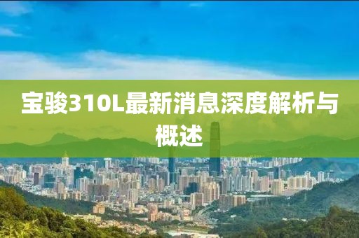 寶駿310L最新消息深度解析與概述