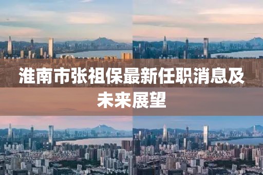 淮南市張祖保最新任職消息及未來展望
