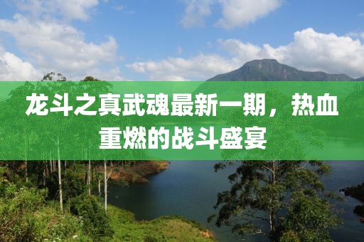 龍斗之真武魂最新一期，熱血重燃的戰(zhàn)斗盛宴