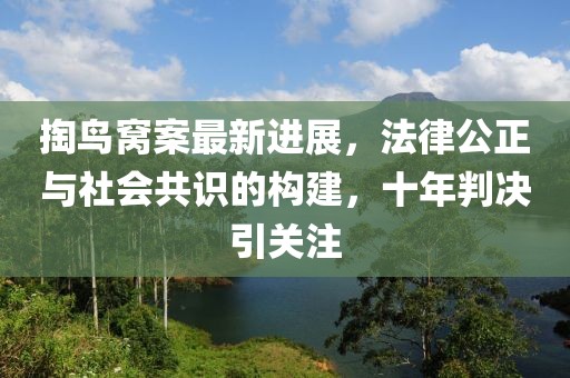 掏鳥(niǎo)窩案最新進(jìn)展，法律公正與社會(huì)共識(shí)的構(gòu)建，十年判決引關(guān)注