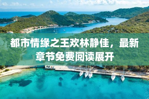 都市情緣之王歡林靜佳，最新章節(jié)免費閱讀展開