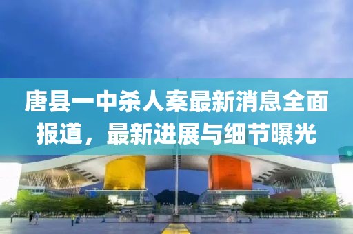 唐縣一中殺人案最新消息全面報道，最新進(jìn)展與細(xì)節(jié)曝光